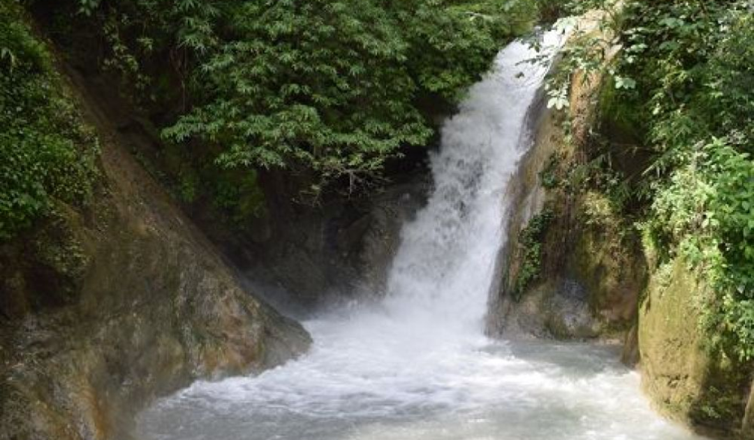 Things to do in Dehradun
